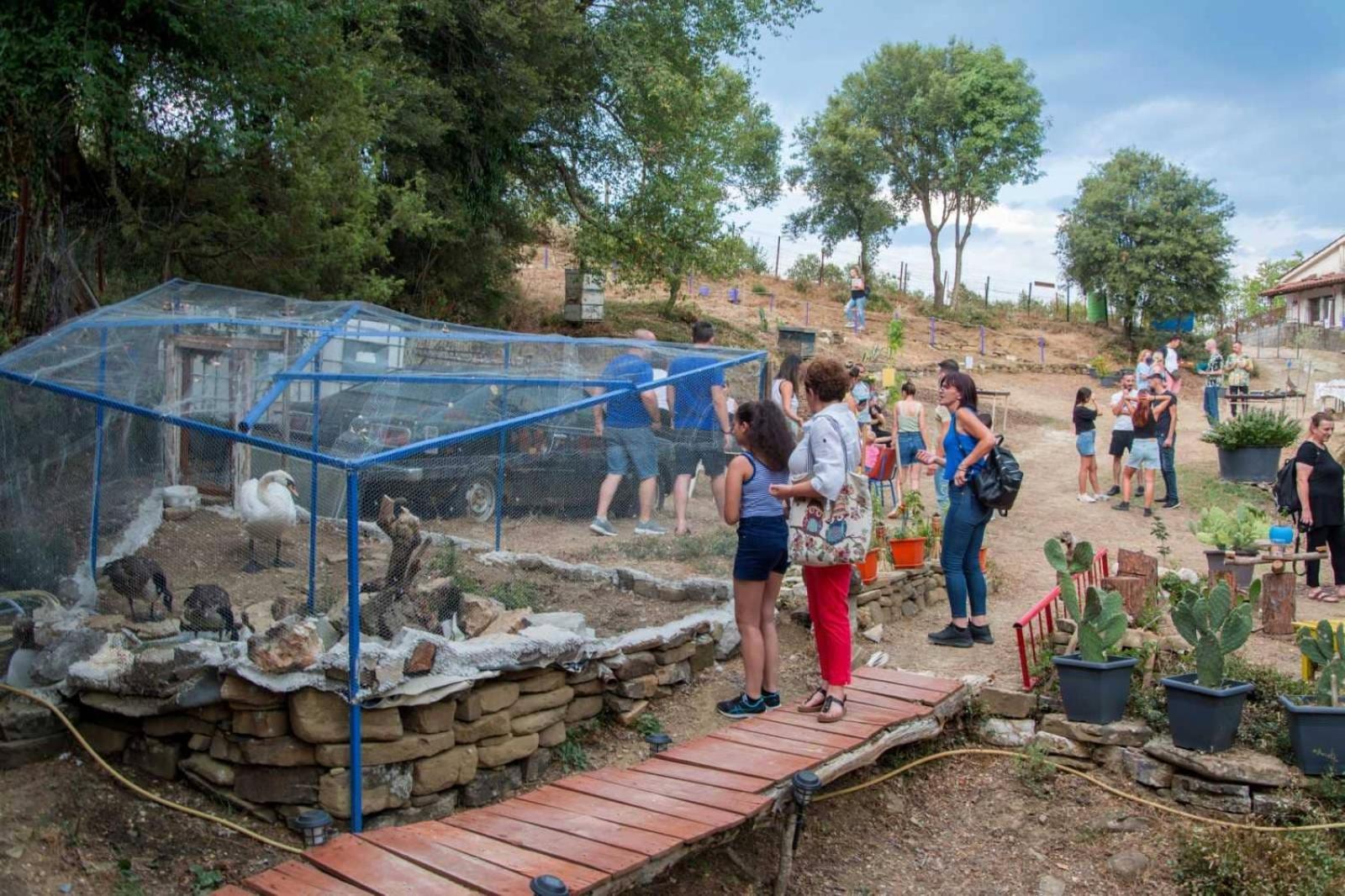 Ξενώνας Museum Ισόγειο Στο Ελληνικό Ιωαννίνων Villa Kalentzi Bagian luar foto